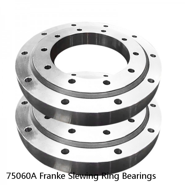 75060A Franke Slewing Ring Bearings