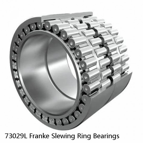 73029L Franke Slewing Ring Bearings