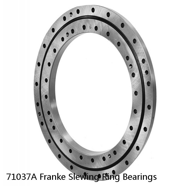 71037A Franke Slewing Ring Bearings