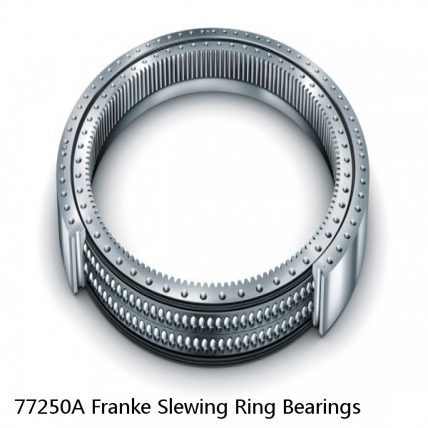 77250A Franke Slewing Ring Bearings