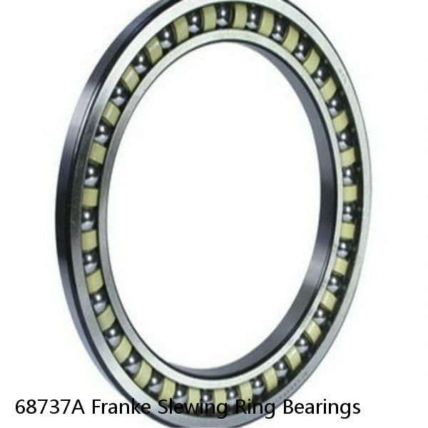 68737A Franke Slewing Ring Bearings