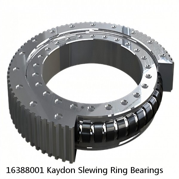 16388001 Kaydon Slewing Ring Bearings