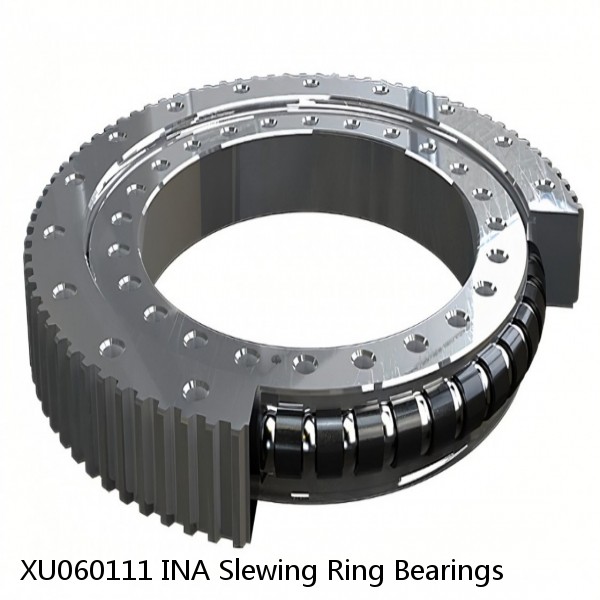 XU060111 INA Slewing Ring Bearings