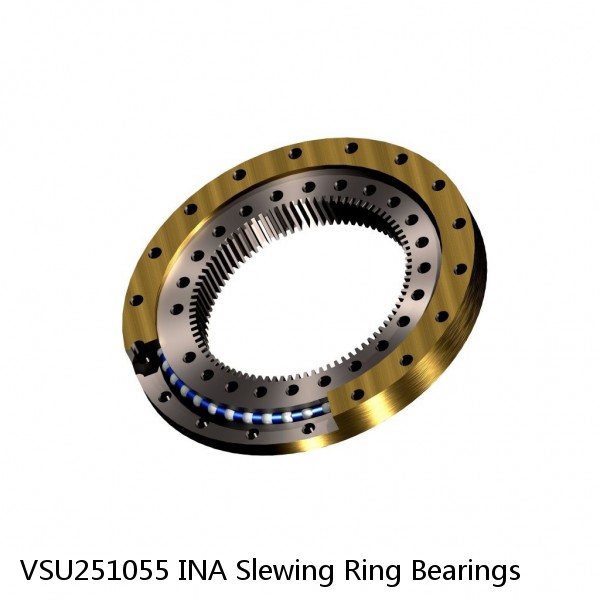 VSU251055 INA Slewing Ring Bearings