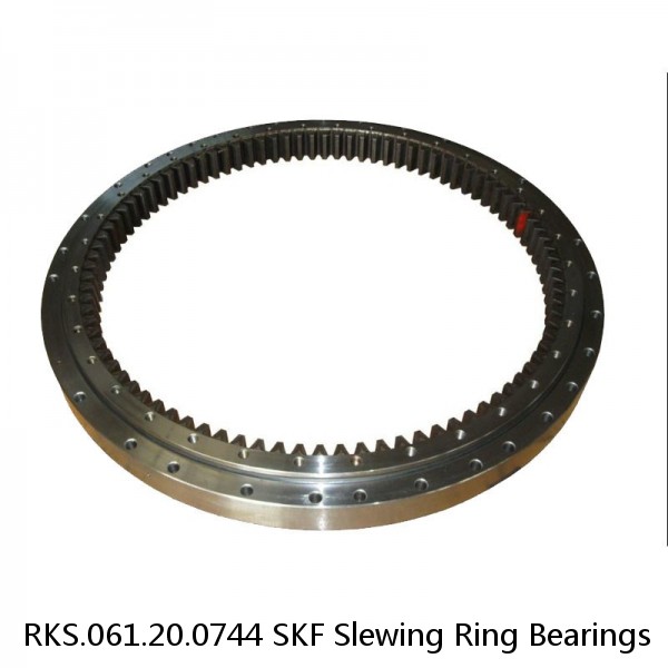 RKS.061.20.0744 SKF Slewing Ring Bearings