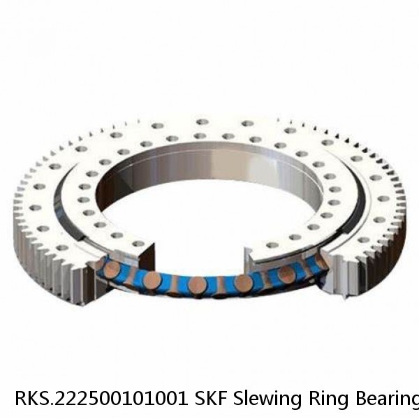 RKS.222500101001 SKF Slewing Ring Bearings