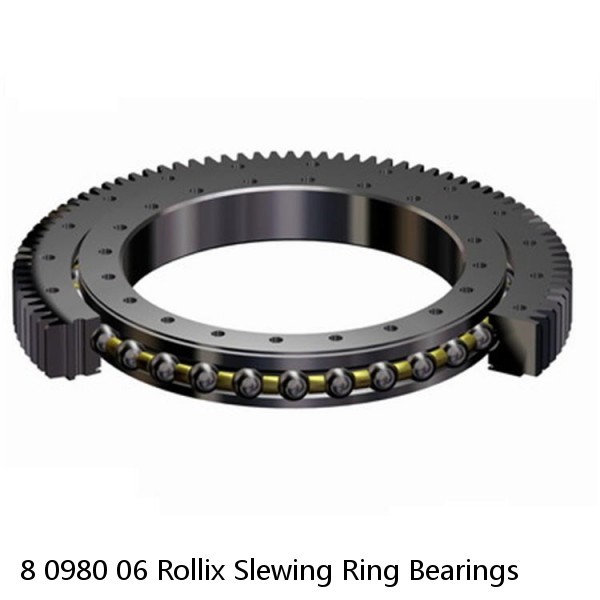 8 0980 06 Rollix Slewing Ring Bearings