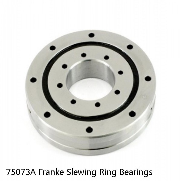 75073A Franke Slewing Ring Bearings