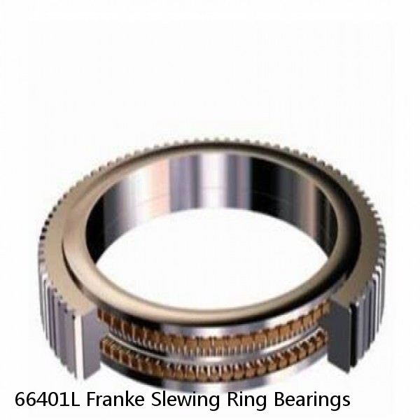 66401L Franke Slewing Ring Bearings