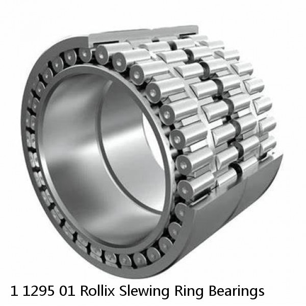 1 1295 01 Rollix Slewing Ring Bearings