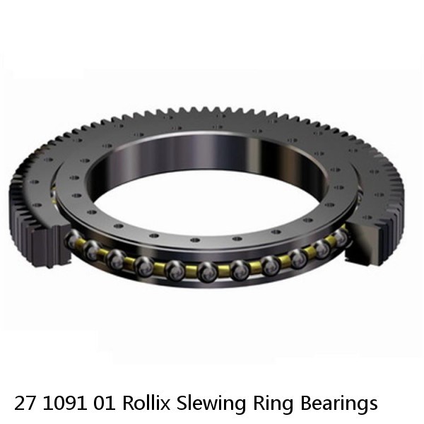 27 1091 01 Rollix Slewing Ring Bearings