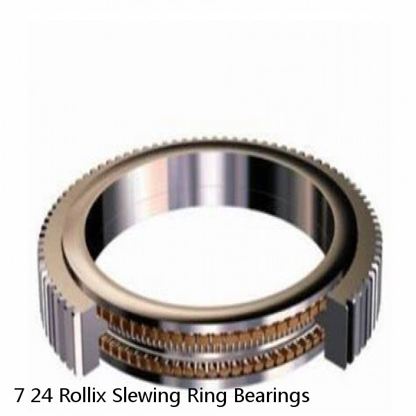 7 24 Rollix Slewing Ring Bearings