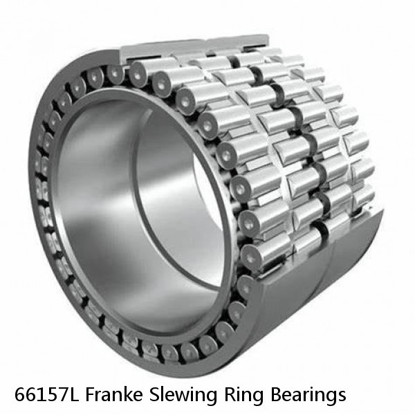 66157L Franke Slewing Ring Bearings