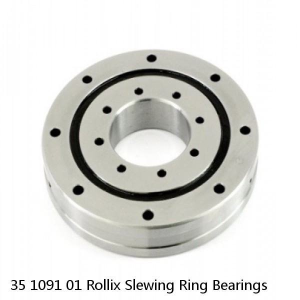 35 1091 01 Rollix Slewing Ring Bearings