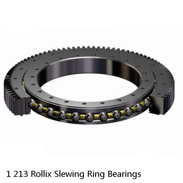 1 213 Rollix Slewing Ring Bearings